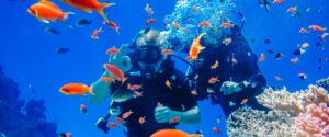 Marsa Alam snorkeling