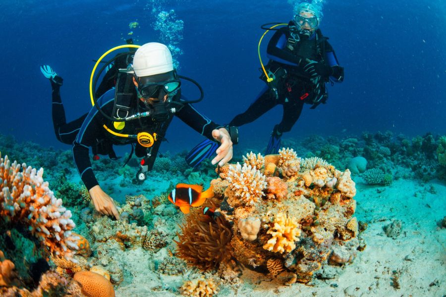 cosa vedere marsa alam
